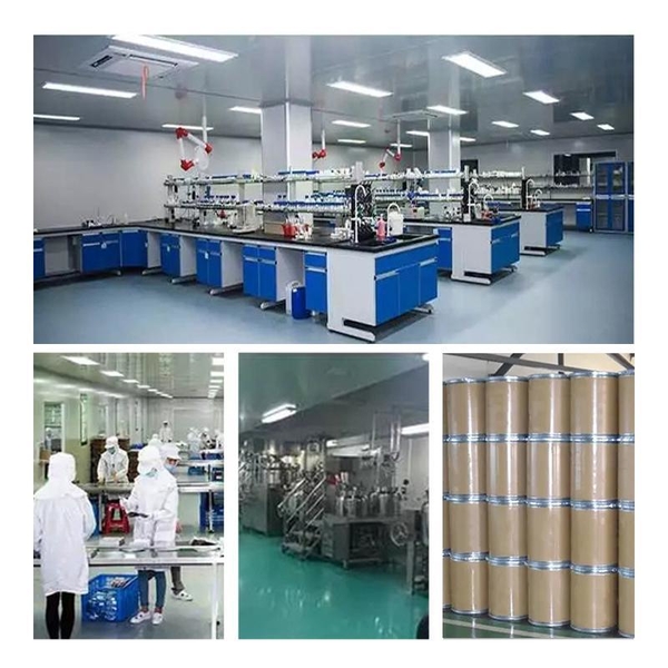 Chine Shaanxi Baisifu Biological Engineering Co., Ltd. Profil de la société