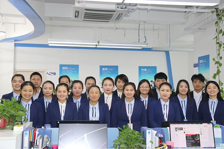 Chine Shaanxi Baisifu Biological Engineering Co., Ltd. Profil de la société