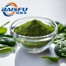 Baisfu Pure plant extract Green Fine Powder 98% Spinach Powder CAS No: 11006-34-1 Specification 5:1 10:1 Hot Selling - Get Your Favorite Price Here With Low MOQ  use in Food coloring and baking