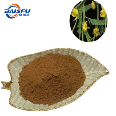 The Factory Sells High Quality Food Grade Yellow- Brown fine Powder 98% Of Cassia Nomame P.E. Flavanols Natural fat enzyme inhibitor for food and health care products