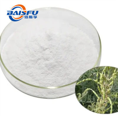 Shaanxi Baisfu plant extract  White crystal powder Pure Natural Organic Sophoridine/ Allomatrine/SOP CAS No.: 6882-68-4/ 83148-91-8 meidical grade for anti-tumor treatment