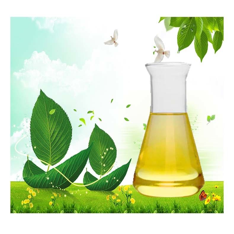 Cosmetic Grade Menthyl PCA CAS 64519-44-4 Natural Moisturizing Factor