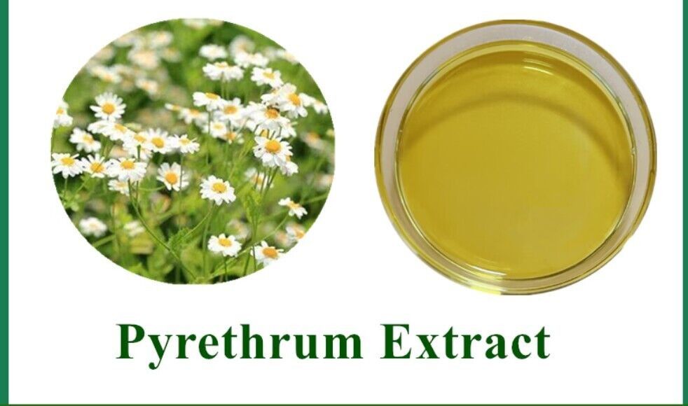 Certified Organic Pyrethrum Extract 50% Cold Stored Biopesticide for Agricultural Insecticide