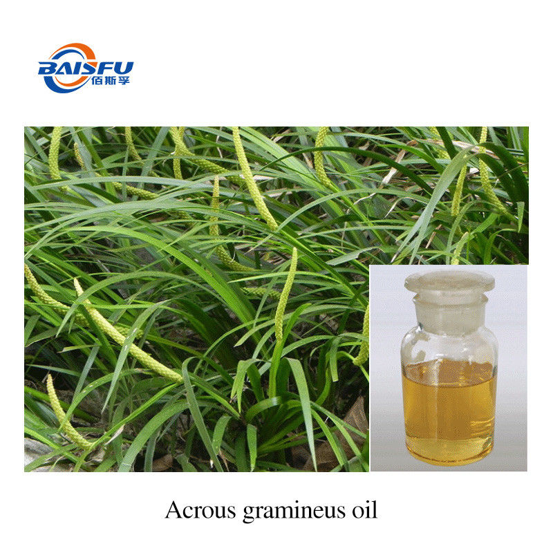 Unique Aroma Acrous gramineus oil for Food Additives Natural Plant Essential Oil