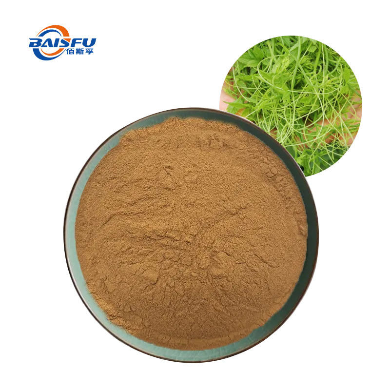 Natural plant extracts CAS:15588-68-8 Gynostemma Plant Extract