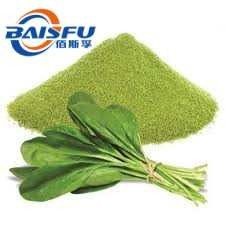 Baisfu Pure plant extract Green Fine Powder 98% Spinach Powder CAS No: 11006-34-1 Specification 5:1 10:1 Hot Selling - Get Your Favorite Price Here With Low MOQ  use in Food coloring and baking