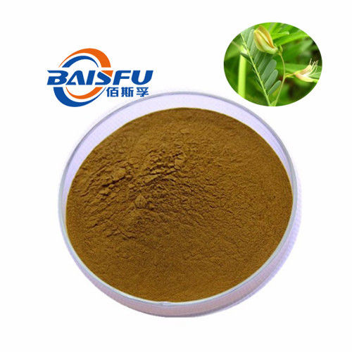 The Factory Sells High Quality Food Grade Yellow- Brown fine Powder 98% Of Cassia Nomame P.E. Flavanols Natural fat enzyme inhibitor for food and health care products
