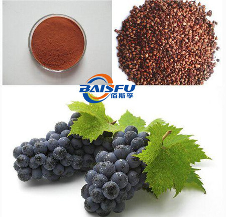 Shaanxi Baisfu herbal plant extract  Antioxidants Grape Seed Extract Red-brown powder Oligomeric Proantho Cyanidins
CAS No.: 84929-27-1 use in cosmetic and nutrient supplements