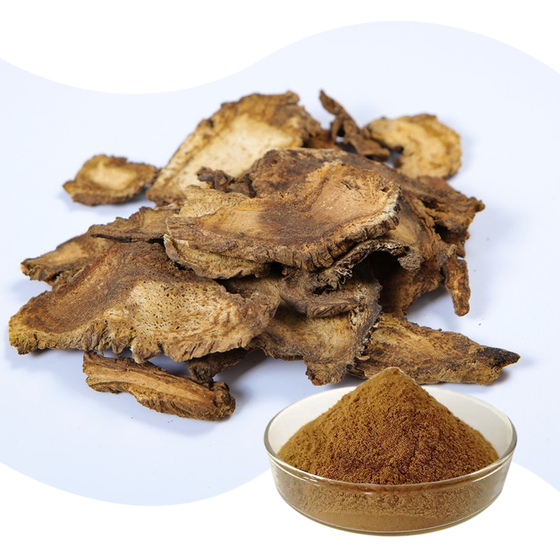 Baisfu Pure natural plant extract Yellowish-brown Powder Radix Angelicae Pubescentis P.E. Root 10:1 use in medicine