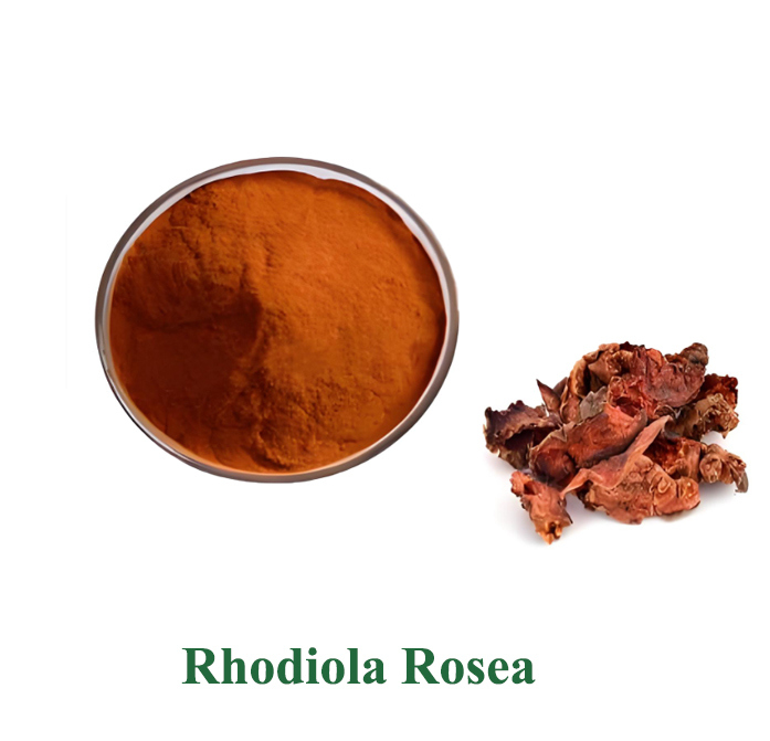 Factory direct sales of Rhodiola rosea extract. CAS: 97404-52-9