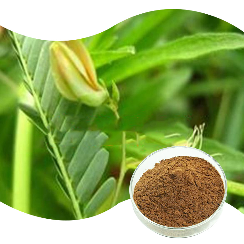Baisfu high-enriched 99% Yellow Brown fine Powder Cassia Nomame P.E. Flavanol compounds use in cosmetic and health care products