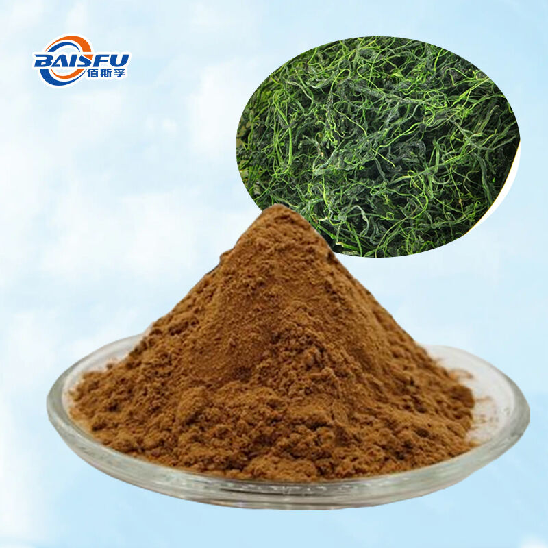 Baisfu Factory Wholesale Gynostemma Pentaphyllum Extract Brown Yellow Fine Powder Ginsenosides for Health Supplements and Natural Additive