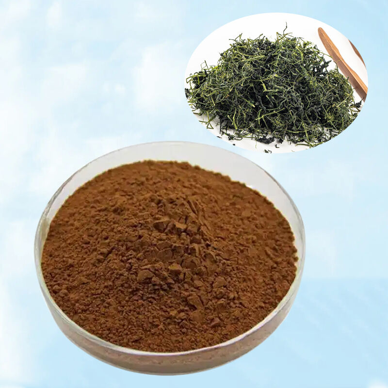 Baisfu Factory Wholesale Gynostemma Pentaphyllum Extract Brown Yellow Fine Powder Ginsenosides for Health Supplements and Natural Additive
