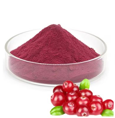 Excellent quality organic fresh Cranberry fruit juice concentrated powder Pink powder purple-red powder used in the food and beverage industries